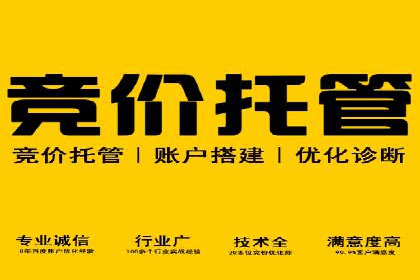 案例分析：SEM托管优化效果显著展示